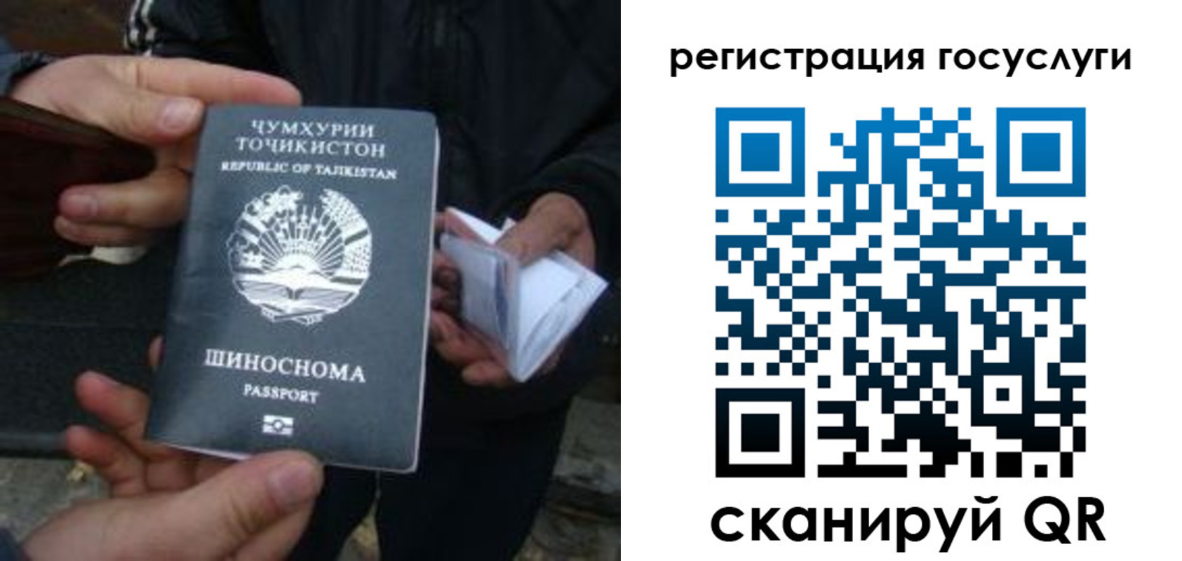 прописка регистрация в Нелидово